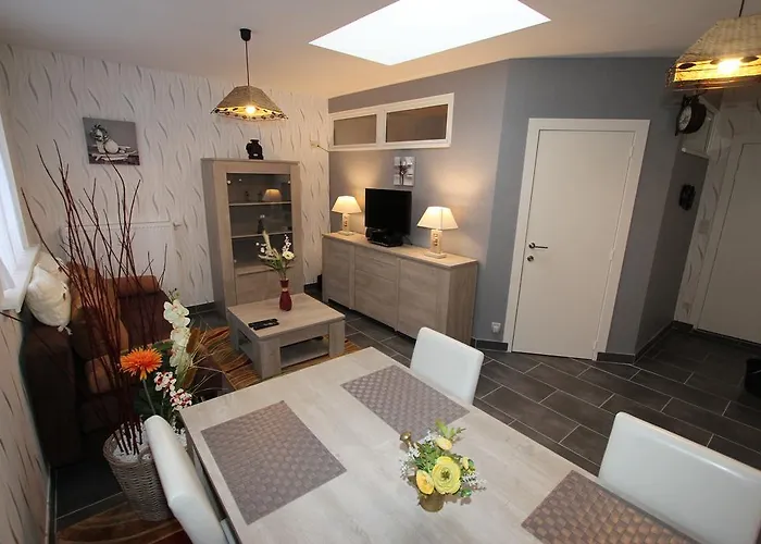 Orchidee * Comines-Warneton